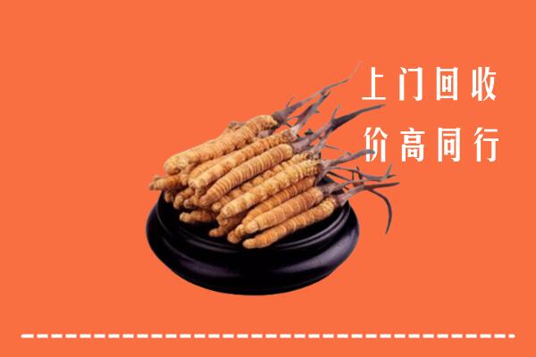附近收购：保亭县冬虫夏草回收多少钱每克