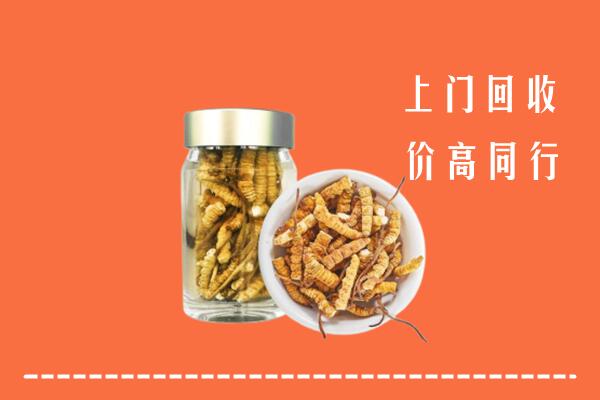 保亭县回收冬虫夏草